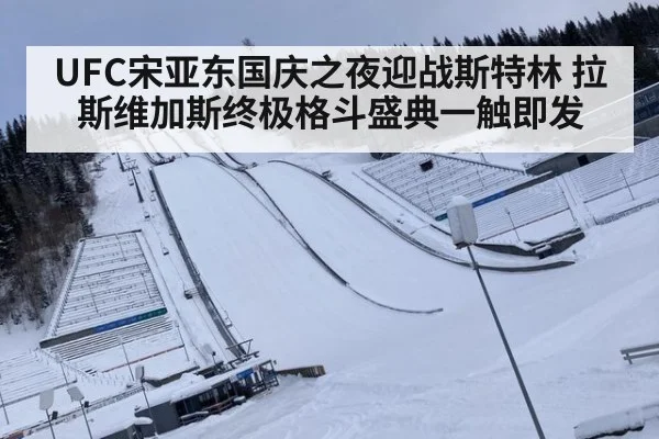 UFC宋亚东国庆之夜迎战斯特林 拉斯维加斯终极格斗盛典一触即发